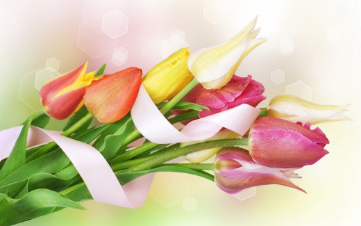 624098 (a): :2560x1600